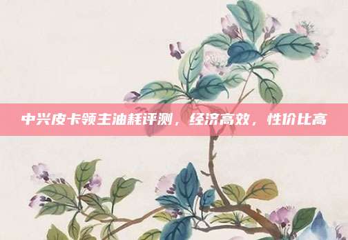 中兴皮卡领主油耗评测，经济高效，性价比高