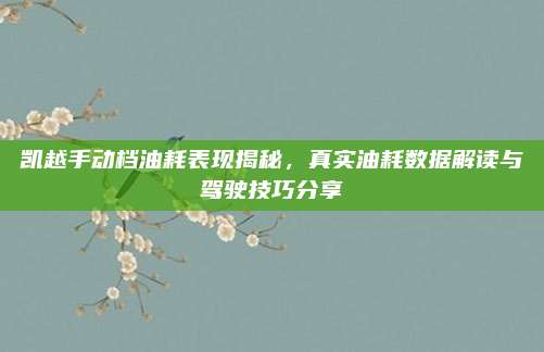 凯越手动档油耗表现揭秘，真实油耗数据解读与驾驶技巧分享