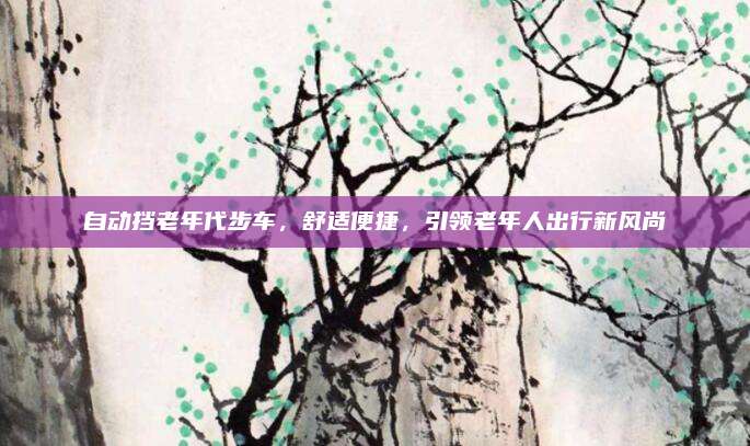 自动挡老年代步车,舒适便捷,引领老年人出行新风尚