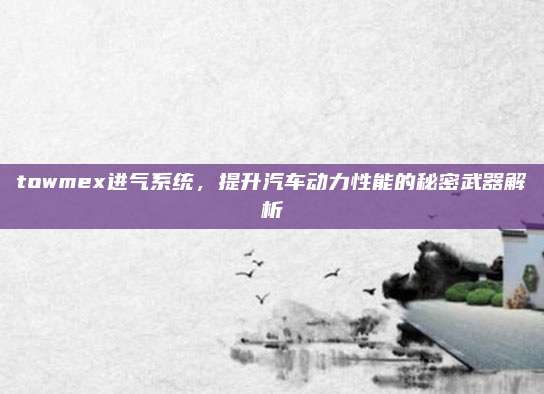 towmex进气系统，提升汽车动力性能的秘密武器解析