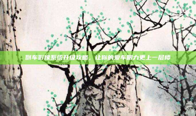 倒车影像系统升级攻略，让你的爱车眼力更上一层楼