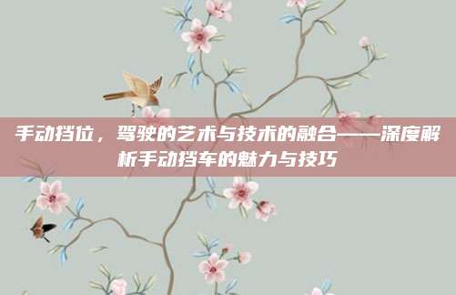 手动挡位,驾驶的艺术与技术的融合——深度解析手动挡车的魅力与技巧