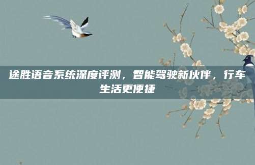 途胜语音系统深度评测，智能驾驶新伙伴，行车生活更便捷