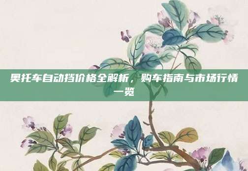 奥托车自动挡价格全解析，购车指南与市场行情一览