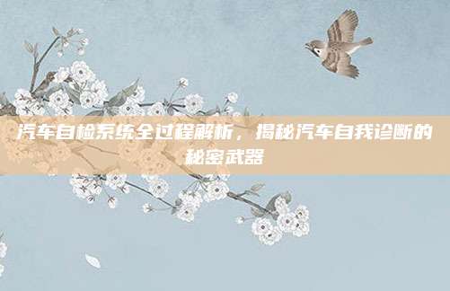 汽车自检系统全过程解析，揭秘汽车自我诊断的秘密武器