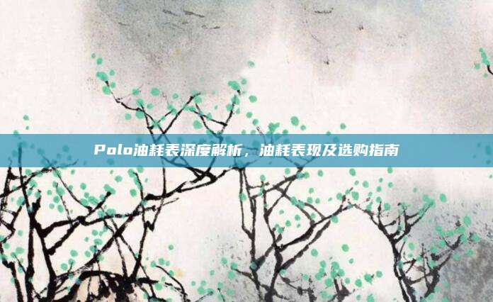 Polo油耗表深度解析，油耗表现及选购指南