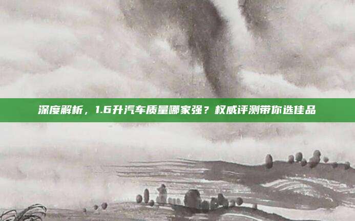 深度解析，1.6升汽车质量哪家强？权威评测带你选佳品