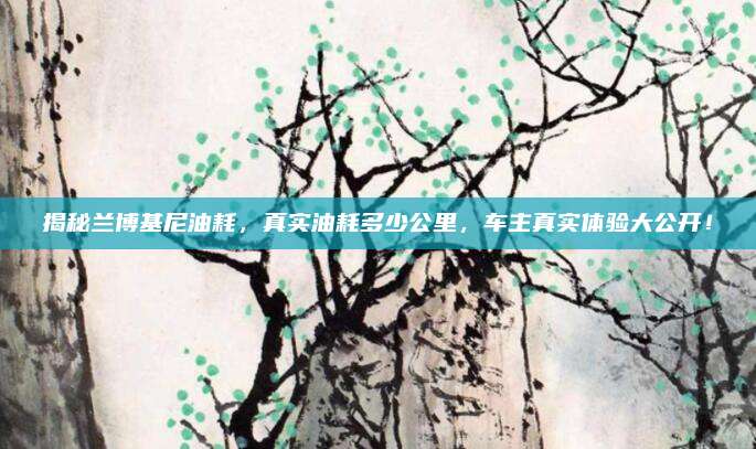 揭秘兰博基尼油耗，真实油耗多少公里，车主真实体验大公开！
