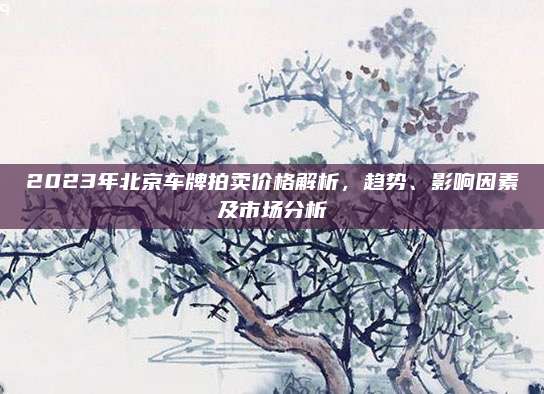 2023年北京车牌拍卖价格解析，趋势、影响因素及市场分析