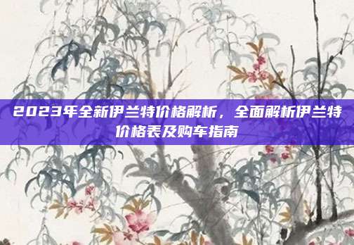 2023年全新伊兰特价格解析，全面解析伊兰特价格表及购车指南