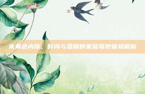 米黄色内饰，时尚与温馨的家居驾驶体验解析