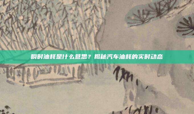 瞬时油耗是什么意思？揭秘汽车油耗的实时动态