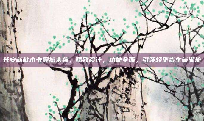 长安新款小卡震撼来袭,精致设计,功能全面,引领轻型货车新潮流