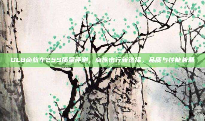 GL8商旅车25S质量评测，商旅出行新选择，品质与性能兼备