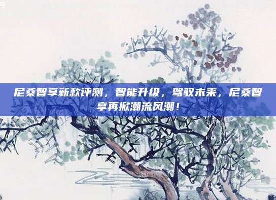 尼桑智享新款评测，智能升级，驾驭未来，尼桑智享再掀潮流风潮！