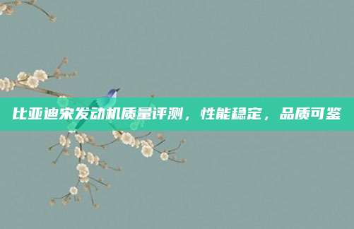比亚迪宋发动机质量评测，性能稳定，品质可鉴
