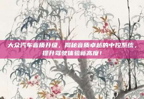 大众汽车音质升级，揭秘音质卓越的中控系统，提升驾驶体验新高度！