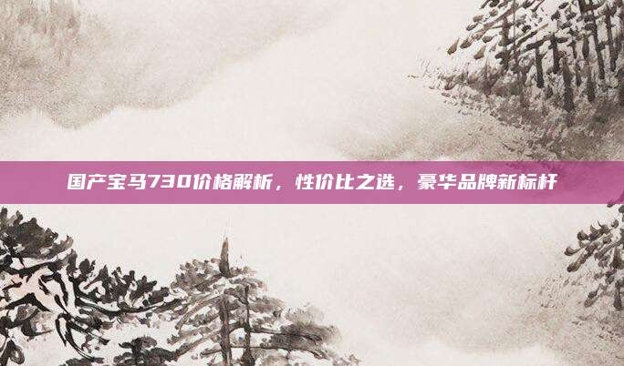 国产宝马730价格解析，性价比之选，豪华品牌新标杆