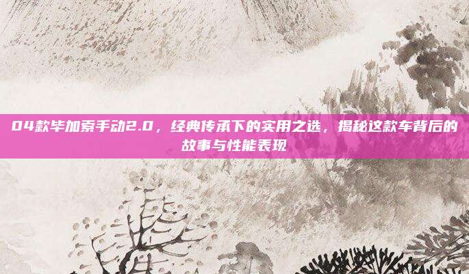04款毕加索手动2.0，经典传承下的实用之选，揭秘这款车背后的故事与性能表现