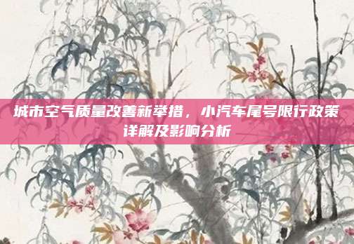 城市空气质量改善新举措，小汽车尾号限行政策详解及影响分析