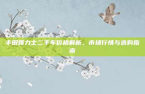 丰田雅力士二手车价格解析，市场行情与选购指南
