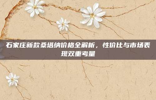 石家庄新款桑塔纳价格全解析，性价比与市场表现双重考量