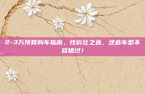 2-3万预算购车指南，性价比之选，这些车型不容错过！