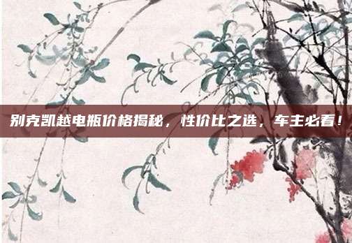 别克凯越电瓶价格揭秘，性价比之选，车主必看！