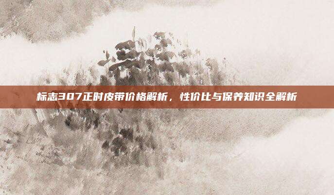 标志307正时皮带价格解析，性价比与保养知识全解析