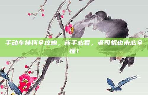 手动车挂挡全攻略，新手必看，老司机也未必全懂！
