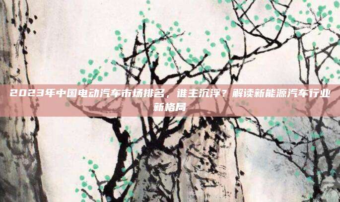 2023年中国电动汽车市场排名，谁主沉浮？解读新能源汽车行业新格局