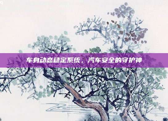 车身动态稳定系统，汽车安全的守护神