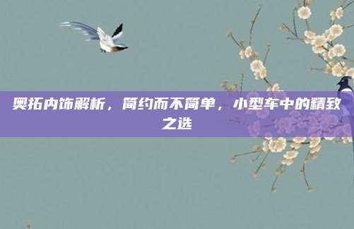 奥拓内饰解析，简约而不简单，小型车中的精致之选