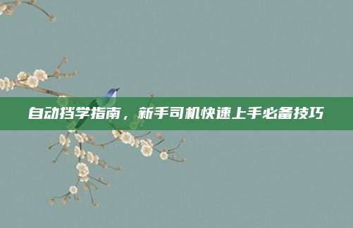 自动挡学指南，新手司机快速上手必备技巧