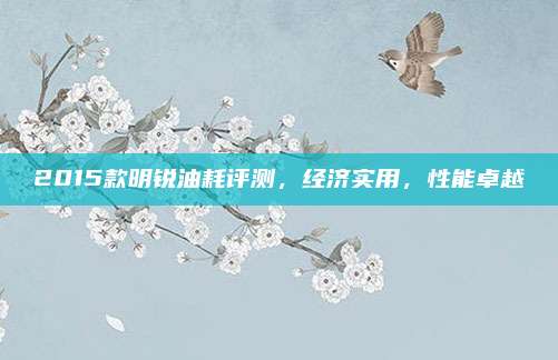 2015款明锐油耗评测，经济实用，性能卓越