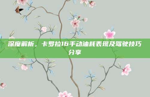 深度解析，卡罗拉16手动油耗表现及驾驶技巧分享