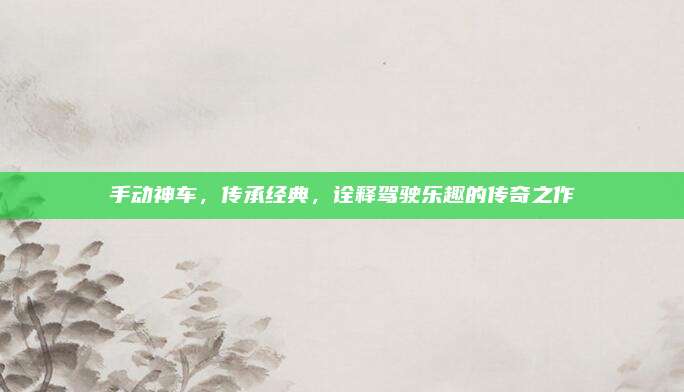 手动神车，传承经典，诠释驾驶乐趣的传奇之作