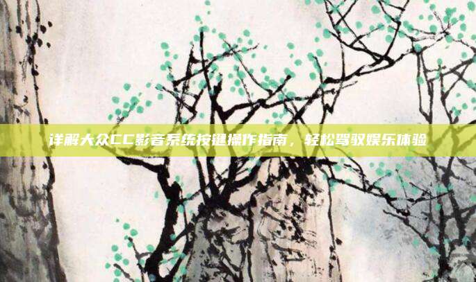 详解大众CC影音系统按键操作指南，轻松驾驭娱乐体验