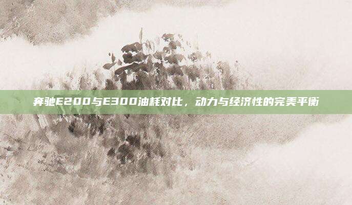 奔驰E200与E300油耗对比，动力与经济性的完美平衡