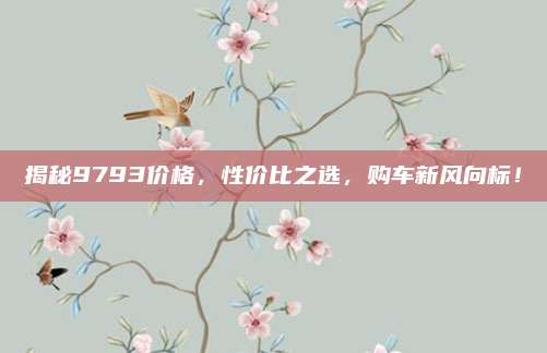 揭秘9793价格，性价比之选，购车新风向标！