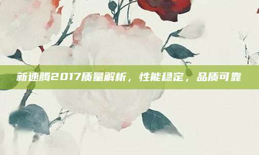 新速腾2017质量解析，性能稳定，品质可靠