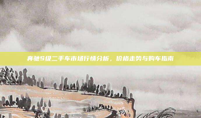 奔驰S级二手车市场行情分析，价格走势与购车指南