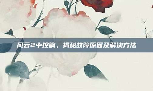 风云2中控响，揭秘故障原因及解决方法