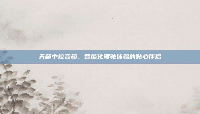 天籁中控音箱，智能化驾驶体验的贴心伴侣