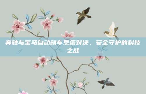 奔驰与宝马自动刹车系统对决,安全守护的科技之战