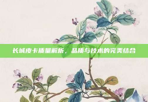 长城皮卡质量解析，品质与技术的完美结合