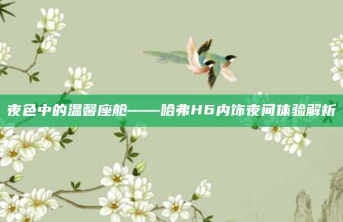 夜色中的温馨座舱——哈弗H6内饰夜间体验解析