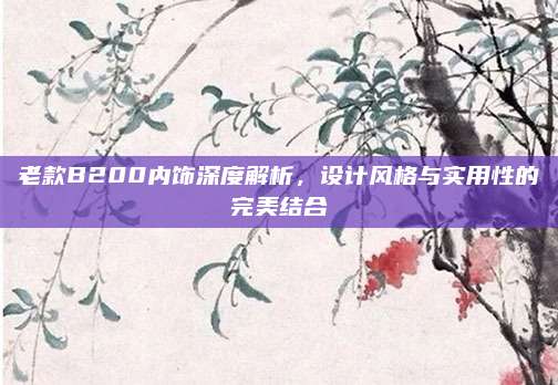 老款B200内饰深度解析，设计风格与实用性的完美结合