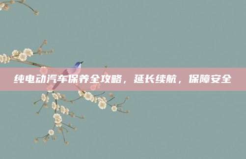 纯电动汽车保养全攻略，延长续航，保障安全