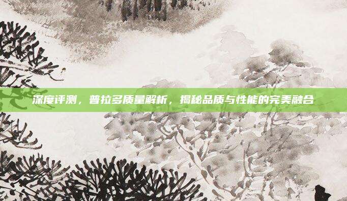 深度评测，普拉多质量解析，揭秘品质与性能的完美融合